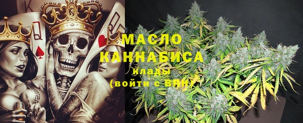 индика Зеленокумск