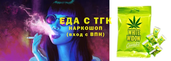индика Зеленокумск
