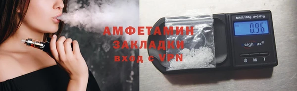индика Зеленокумск