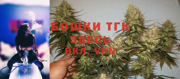 индика Зеленокумск