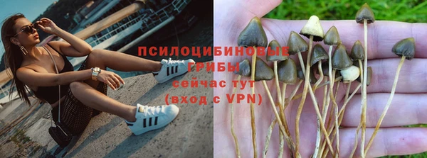 мдпв Зерноград