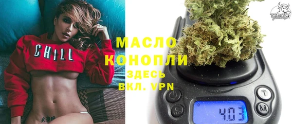 индика Зеленокумск
