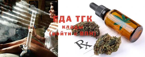 индика Зеленокумск